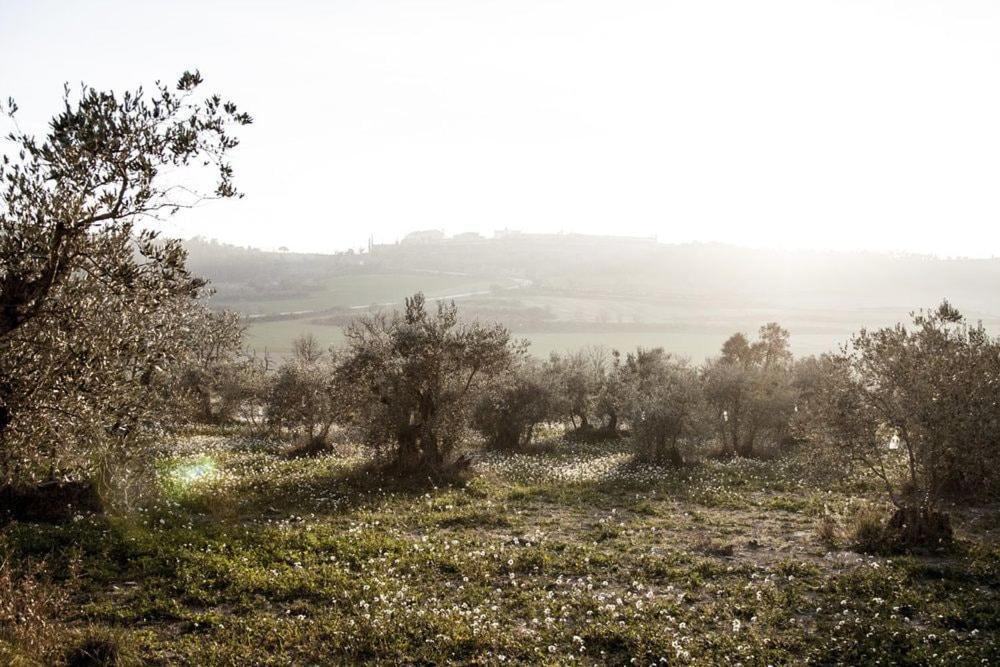 Masia Cal Millas - Turisme Rural Castellfullit de Riubregos Extérieur photo